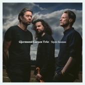 Gjermund Larsen Trio - Blå