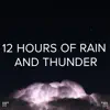 !!!" 12 Hours of Rain and Thunder "!!! album lyrics, reviews, download
