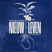 Nieuw Leven (Live at Conference) artwork