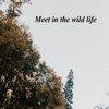 Meet in the wild life