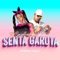 Conselhos da Pih - Senta Garota - MC Pipokinha & DJ DUARTE lyrics