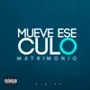 Stream & download Mueve Ese Culo (Matrimonio) - Single