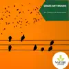 Grass Ant Woods - The Collection of Nature Music album lyrics, reviews, download