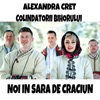 Noi in sara de Craciun (feat. Colindatorii Bihorului) - Single