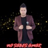 No Sabes Amar - Single