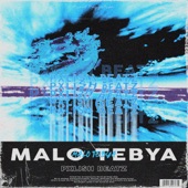 Malo Tebya (Pxlish Beatz Remix) artwork