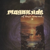 Magnitude - Burn To Ashes
