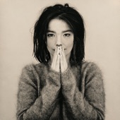 Crying by Bjork