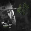 GANJA GUN song lyrics