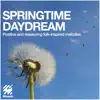 Springtime Daydream album lyrics, reviews, download