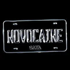 Novocaine Song Lyrics