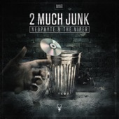 2 Much Junk artwork