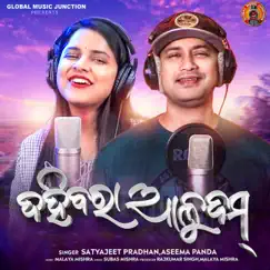 Dahibara Aludam - Single by Satyajeet Pradhan & Aseema Panda album reviews, ratings, credits