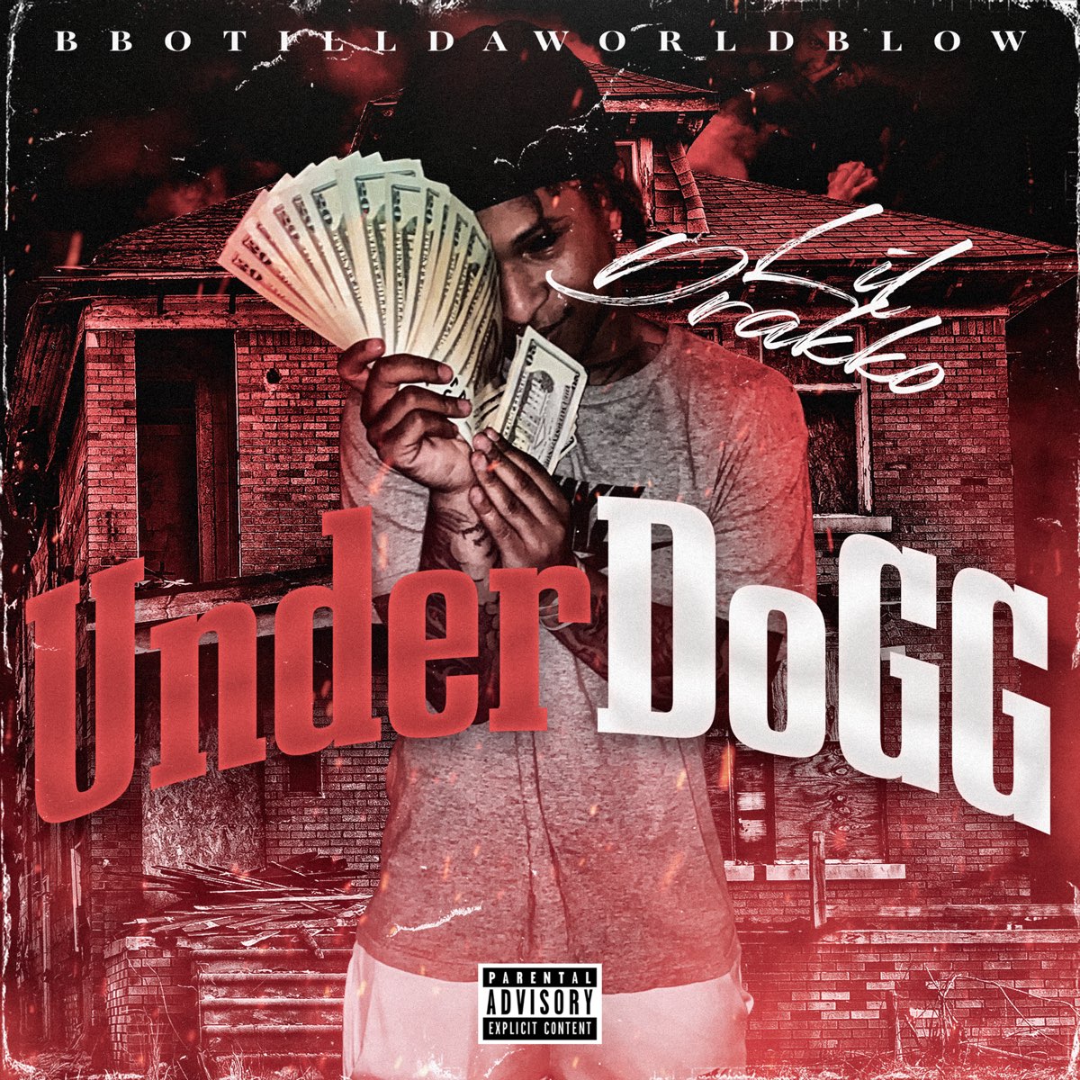 ‎Underdogg by Lildrakko on Apple Music