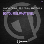 Do You Feel What I Feel artwork