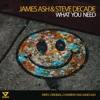 What You Need - Single