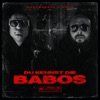 DU KENNST DIE BABOS - Single