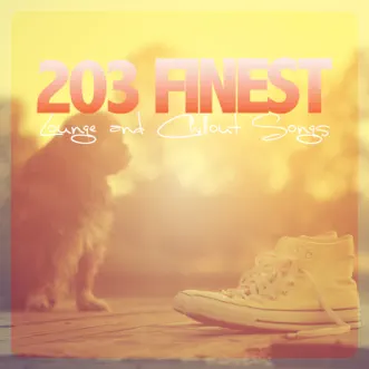 203 Finest Lounge and Chillout Songs by Various Artists album reviews, ratings, credits