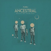 Punku - Ancestral (Novalima Remix Dub)