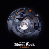 Moon Rock Particles artwork