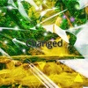 Changed:The Full Album