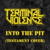 Into the Pit - Single