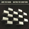 Waiting for Something - Single