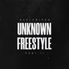 Unknown Freestyle, Pt. 2 - Single album lyrics, reviews, download