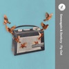 Fly Out - Single