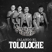 Jalando el Tololoche (En Vivo) artwork