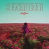 Seventeen - Single