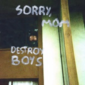 Destroy Boys - No Respect