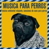 Música Para Perros: Música Ambiental Relajante, Canciones De Cuna Para Perros