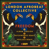 Freedom - Single