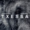 Txessa - SenexBeatz lyrics