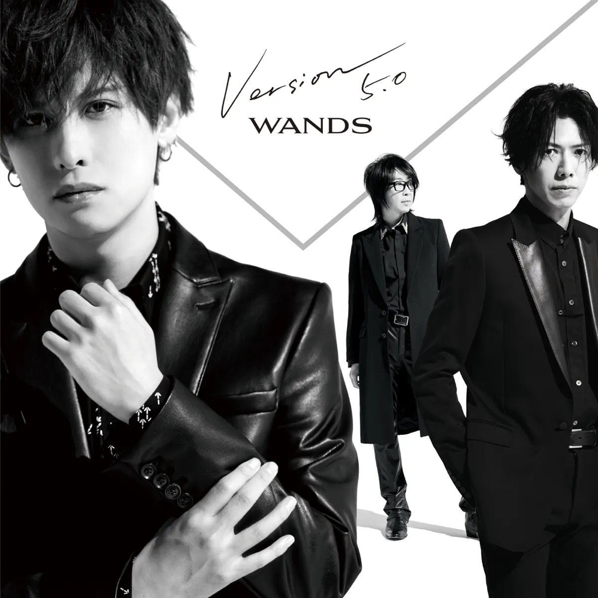 WANDS - Version 5.0 (2023) [iTunes Plus AAC M4A]-新房子