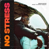 No Stress (feat. Drizzle TSD, Mfieazy & Obiganja) artwork
