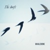 The Swift - Single