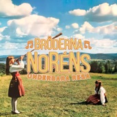 Bröderna Noréns underbara resa artwork