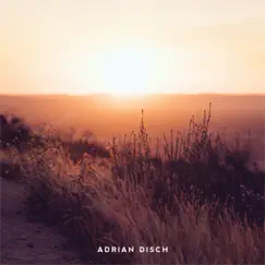 Holding On - Single by Adrian Disch album reviews, ratings, credits