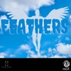 Feathers - Single