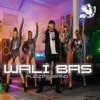 Wali Bas - Single