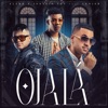 Ojalá (feat. Lenier) - Single