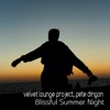 Blissful Summer Night - Single