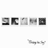 Prolong the Joy - EP