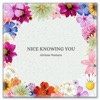 Nice Knowing You - Single