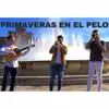 Primaveras en el Pelo (feat. El Arrebato & Miguel Poveda) - Single album lyrics, reviews, download