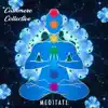Meditate (feat. DJ Spinz) - Single album lyrics, reviews, download