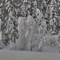 Spor - Hågen Aaker lyrics