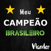 Meu Campeão Brasileiro - Rock do Galo artwork